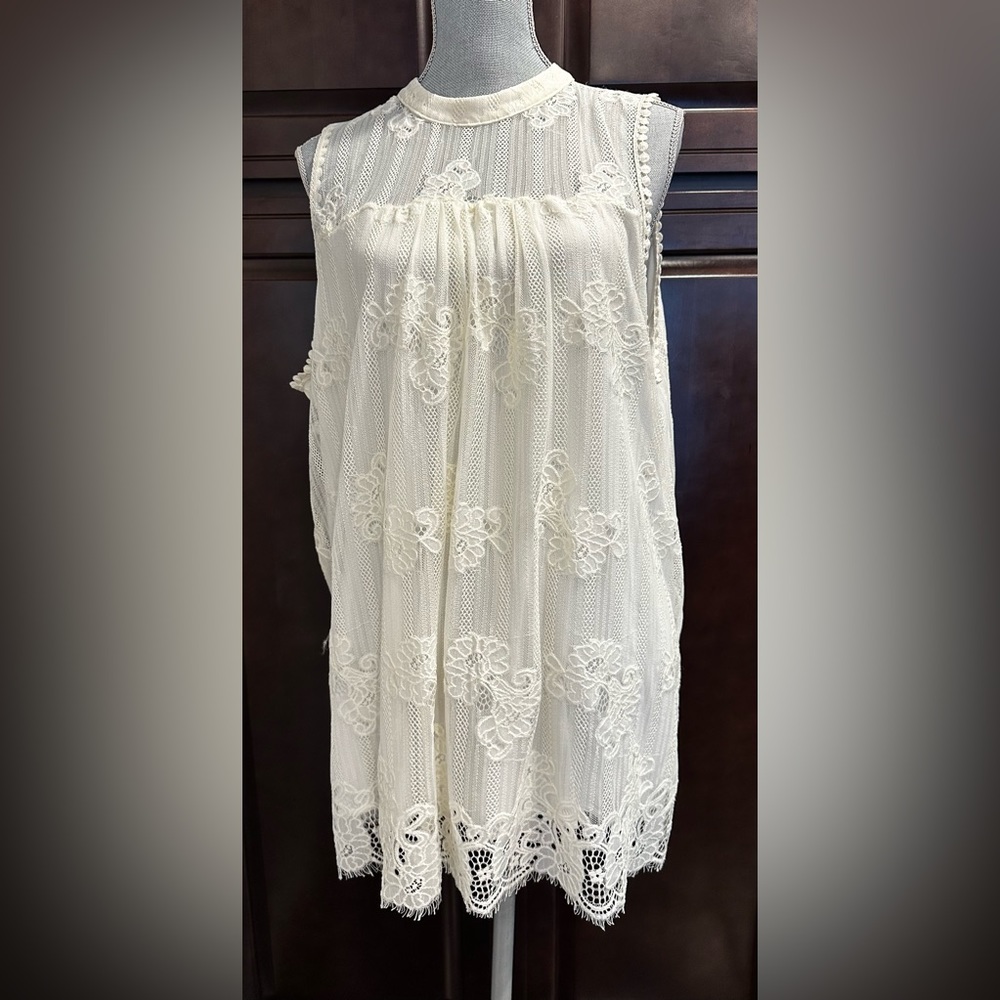 Olivia Blu lace dress or tunic size 2X